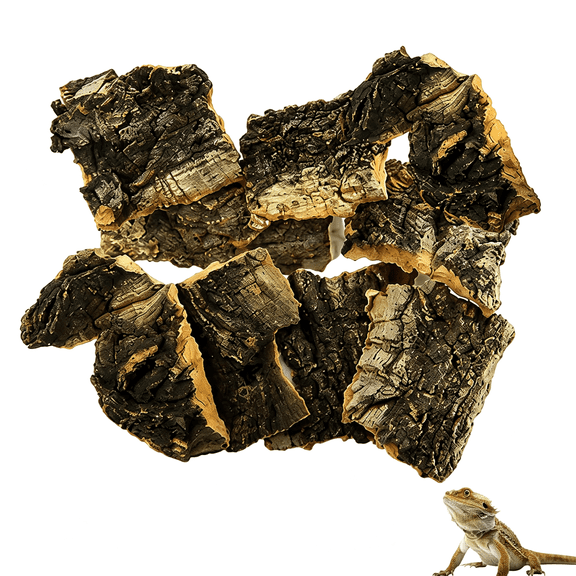 ACDANC 10Pcs Cork Bark for Reptiles,Habitat Decor for Terrariums and Vivariums,Reptile Enclosure Accessories with Dimensions of Appropriate Size Carbonized Cork Bark