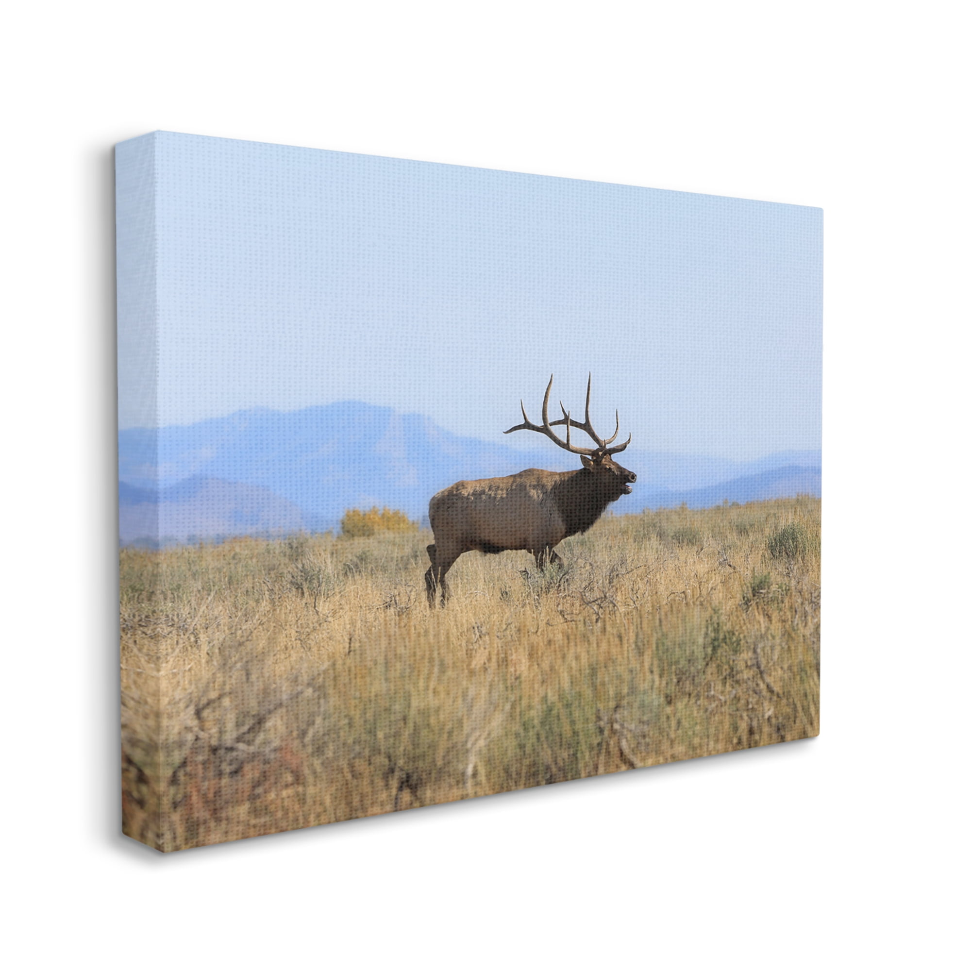 Stupell Industries Elk Grazing Pasture Grassland Blue Distant Mountains Canvas Wall Art, 48 x 36, Design by Daniel Sproul