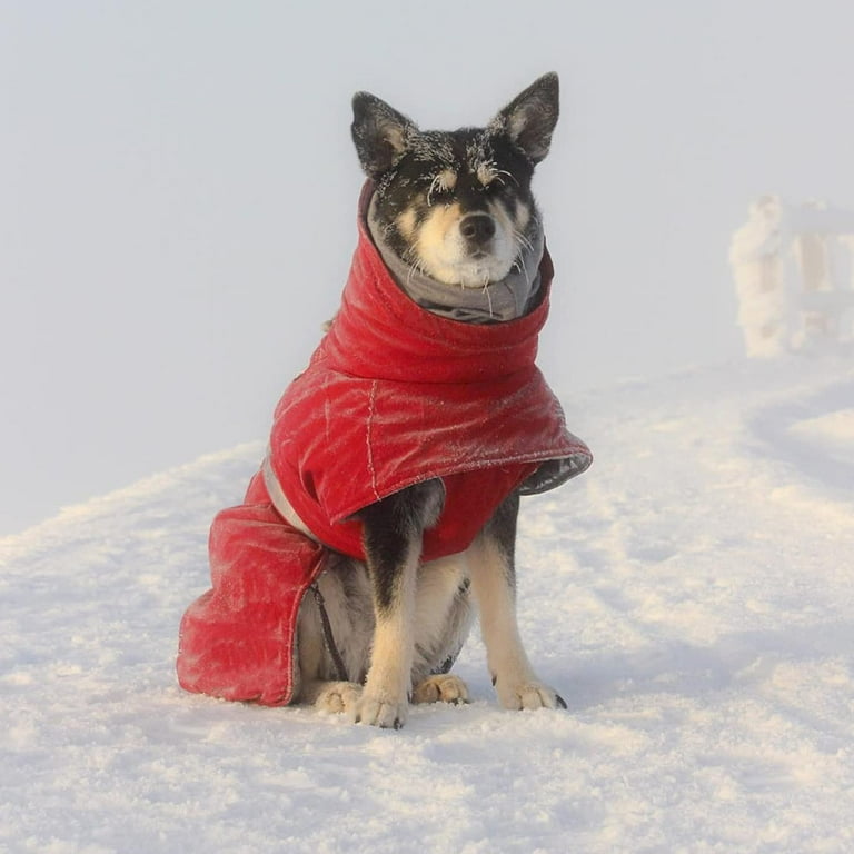 Hurtta Extreme Warmer 2 Winter Dog Coat Lingon 24 in Walmart