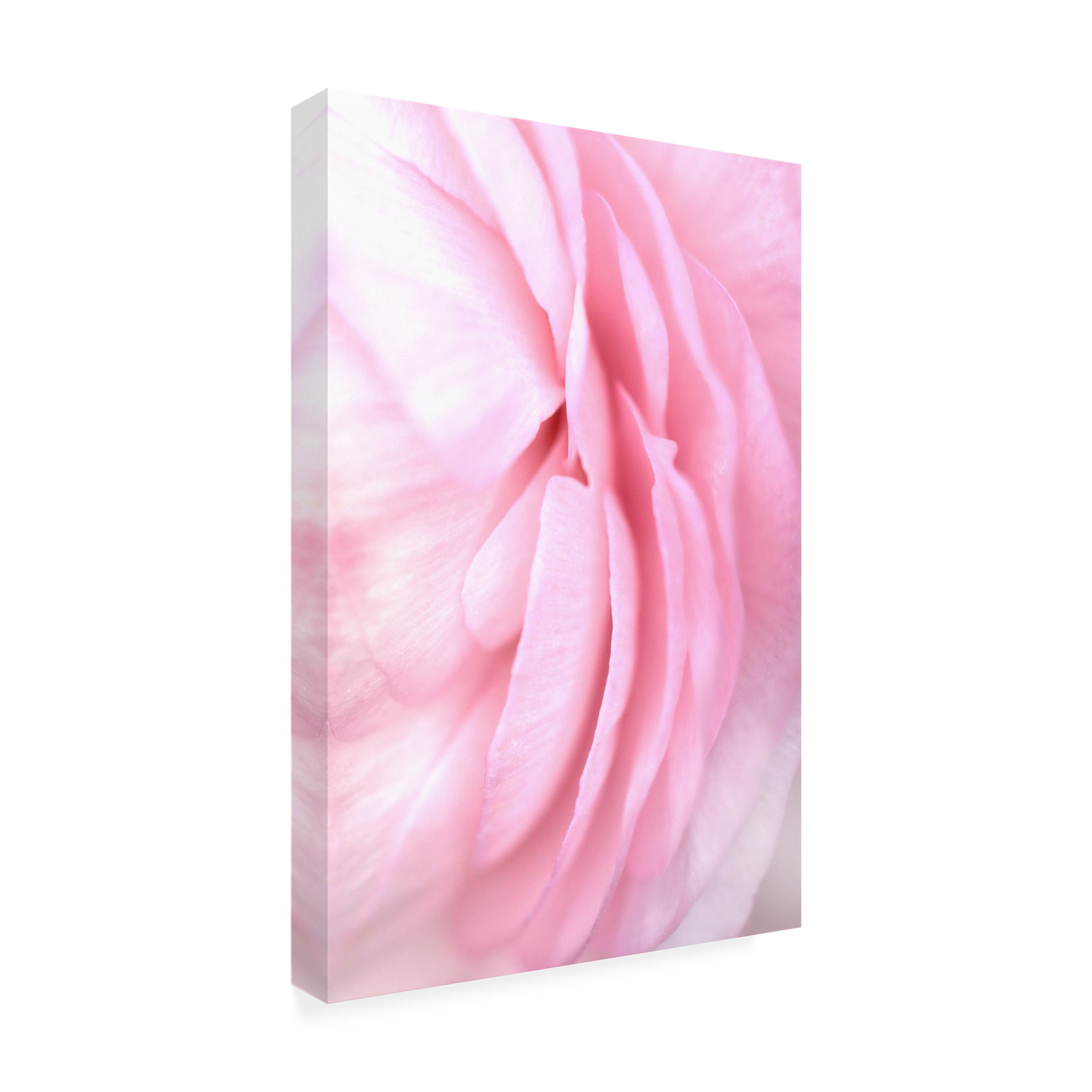 Rosana Laiz Blursbyai 'Soft pink petals' Canvas Art