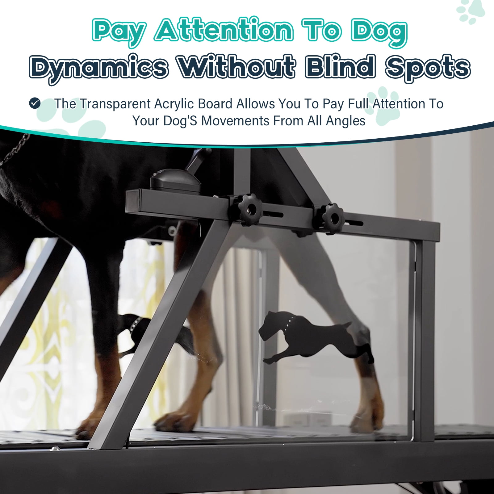 Syedee Dog Treadmill for Medium Dogs, Dog Slatmill for Healthy & Fit Dog Life, Dog Treadmill for Indoor & Outdoor. Dog Treadmill for Dogs up to 300 lb