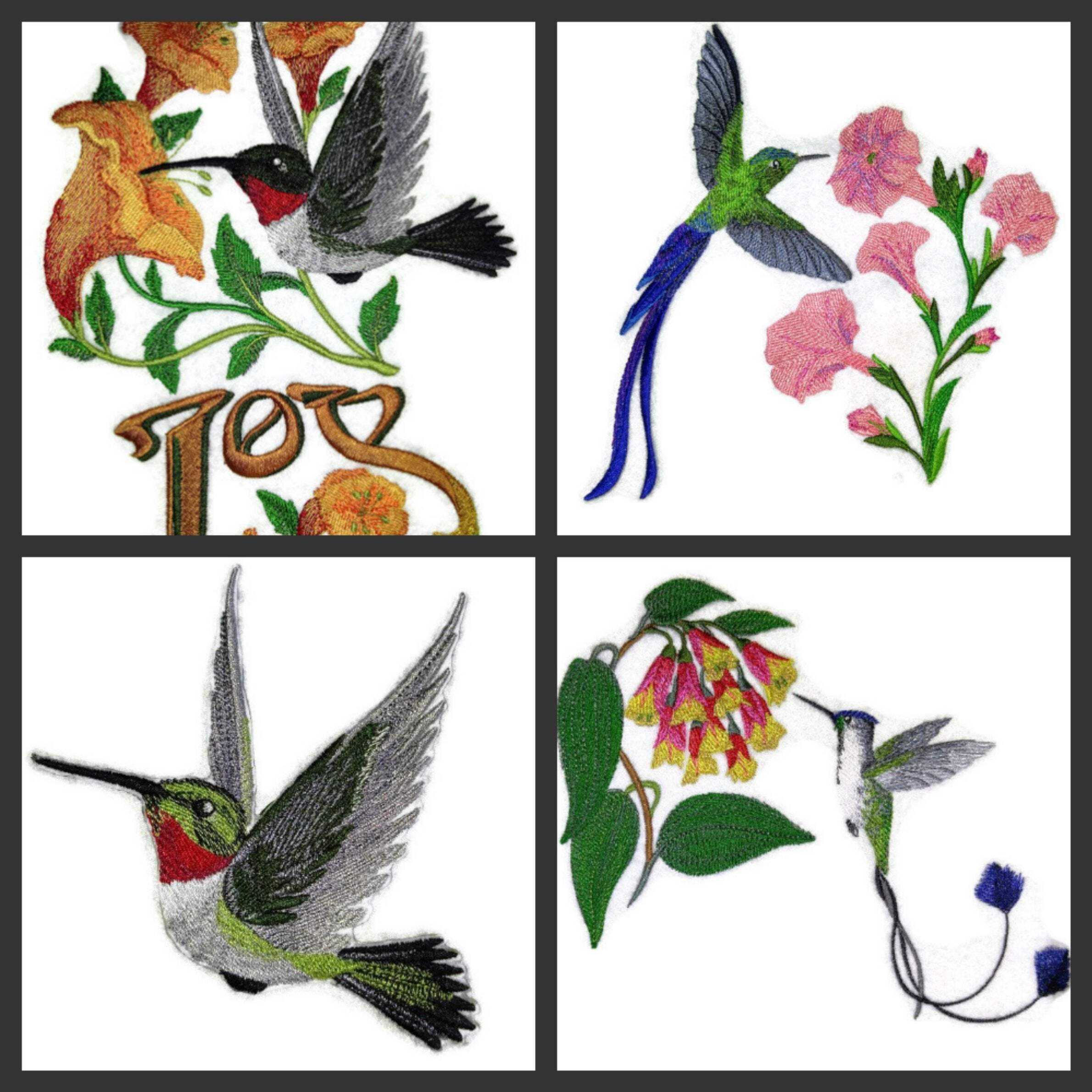 Hummingbird of Joy Embroidered Iron on/Sew Patch [8.2" X 5.9"]