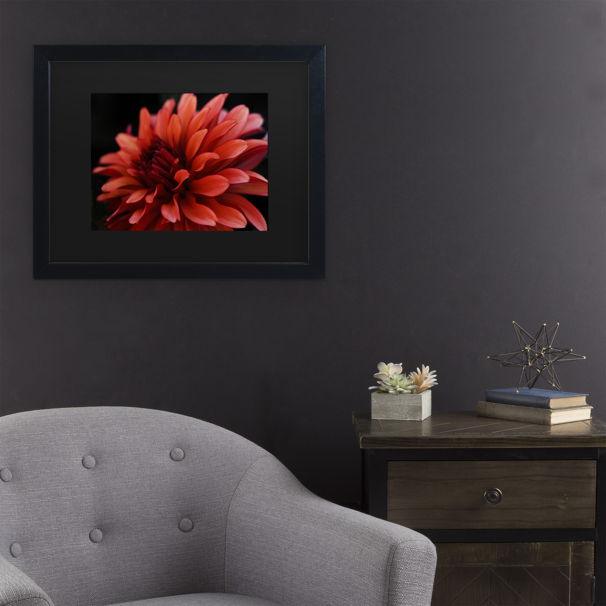 Trademark Fine Art 'Red Dahlia' Canvas Art by Kurt Shaffer