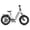 White, variant on Electric Folding Bike for Adults, 48V 15Ah Removable Battery, 20"x4.0" Fat Tire E Bicycle, 20 Mph Max Speed, 500W Motor, Class 2, SGS