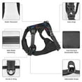 thumbnail image 3 of Naloa Sea Turtle Pet Harness Vest with Traction Rope, Adjustable No-Choke Dog Vest for Outdoor, Walking - Small, 3 of 4