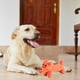 thumbnail image 5 of Juguetes de cuerda para mascotas, limpieza de molares, artículos para perros, juguetes para perros, artículos para mascotas, 5 of 8