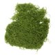 thumbnail image 3 of Musgo artificial para plantas en maceta, césped artificial para decoración de interiores, manualidades, terrarios y jardines de hadas, musgo decorativo para centros de mesa, plantas artísticas, 3 of 7