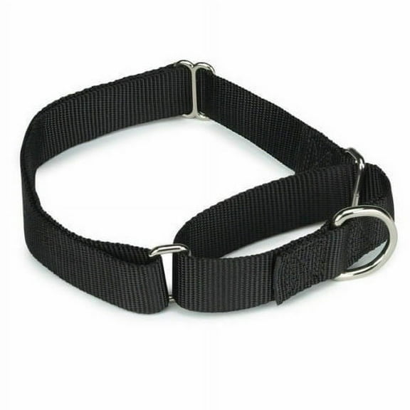 Martingale Dog Collars Adjustable Nylon Choke No Pull Training Pick Color & Size (Black 10" - 16")