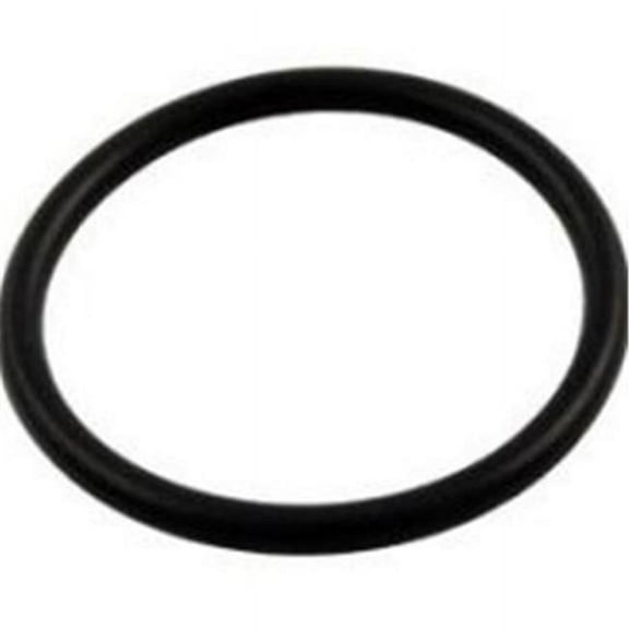 Pentair Diffuser O-Ring