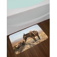 thumbnail image 2 of Donkey Bath Mat, Greek Donkey up in the Mountains of Lesvos Island in Mediterranean Sea Digital Image, Plush Bathroom Decor Mat with Non Slip Backing, 29.5" X 17.5", Multicolor, by Ambesonne, 2 of 2