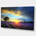 thumbnail image 2 of Colorful Sky over Vibrant Lavender Field - Floral Canvas Art Print, 2 of 3