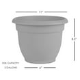 thumbnail image 3 of Bloem Ariana 10" Chocolate Round Self-Watering Resin Planter Pot - Rolled Rim Indoor and Outdoor Gardening Planter, 3 of 7