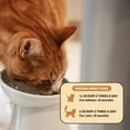 thumbnail image 6 of Pet Honesty Immune Health Lysine Powder for Cats, 120 Scoops, Chicken & Tuna Flavor, 6 of 10