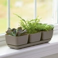 thumbnail image 4 of Root & Vessel Majestic Herb & Succulent Trio Planter, Taupe, 4 of 4