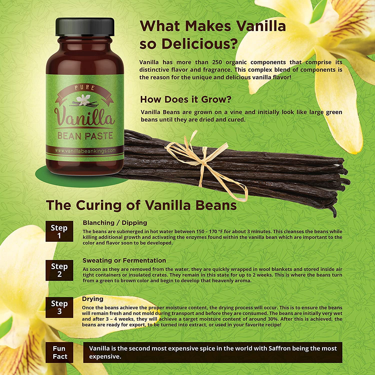 Vanilla Bean Kings Vanilla Bean Paste, Gourmet Madagascar Bourbon, 5 Gallons