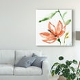 thumbnail image 3 of Trademark Fine Art 'Tropical Display IV' Canvas Art by Jennifer Goldberger, 3 of 4