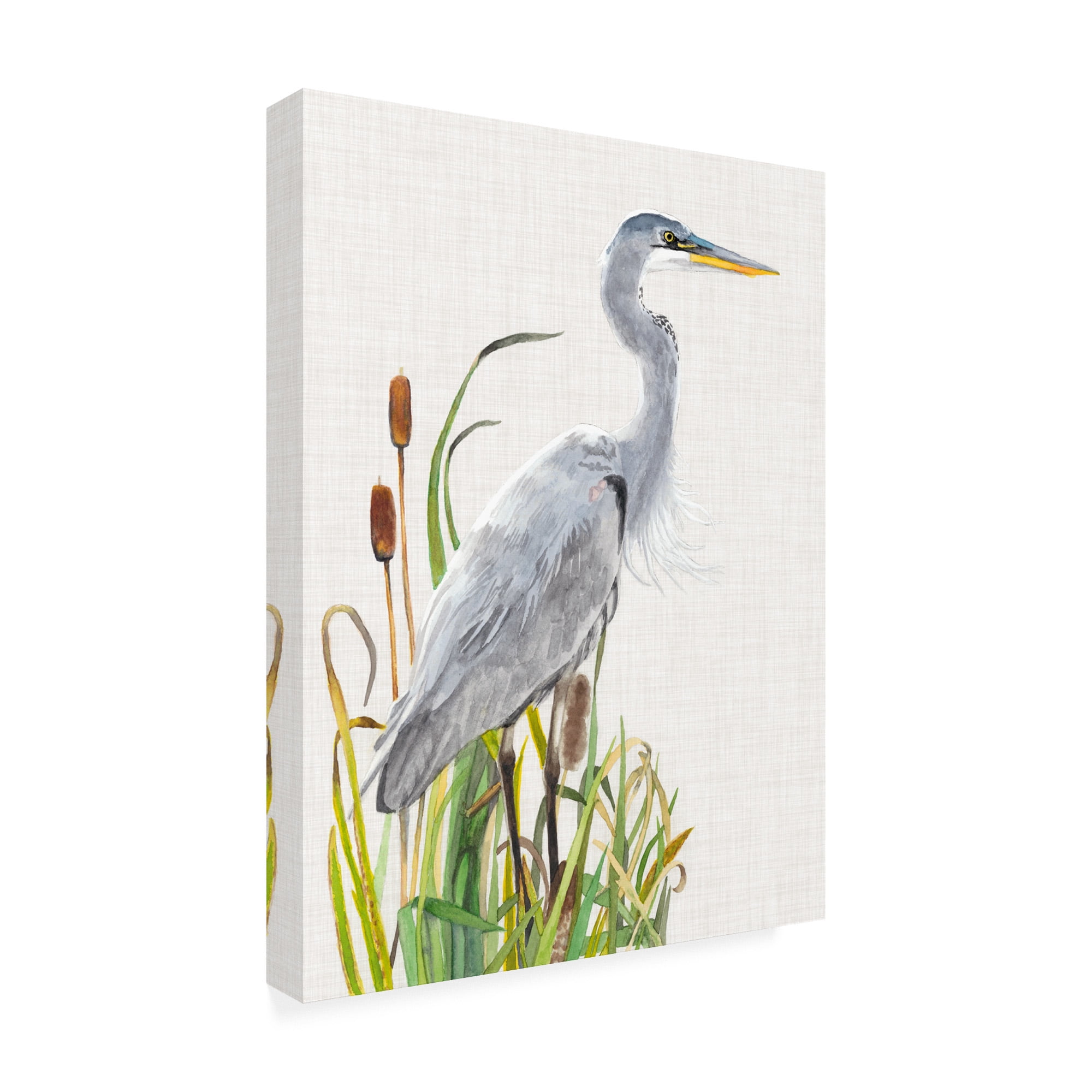 Trademark Fine Art 'Water birds And Cattails I' Canvas Art by Naomi McCavitt