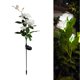 thumbnail image 4 of Energía Solar rosas flores jardín luz hogar flores decorativas luces de noche para jardín paisaje césped Patio decoraciones de Patio blanco, 4 of 8