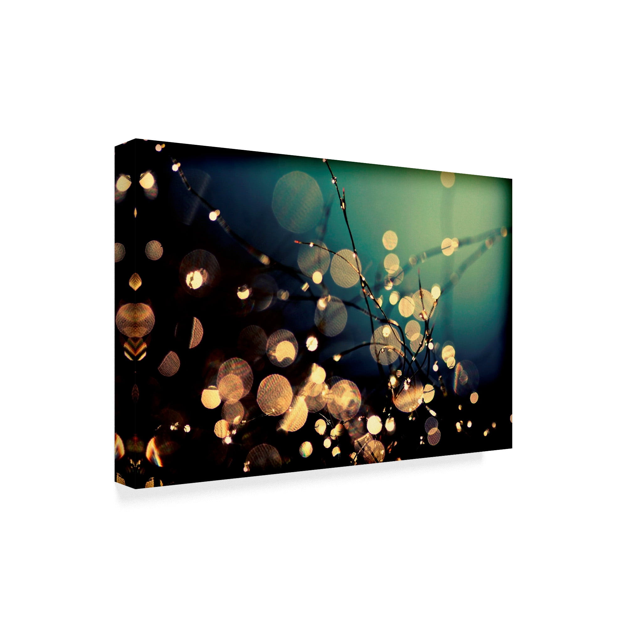 Trademark Fine Art 'Fairies In My Garden 2' Canvas Art by Incredi