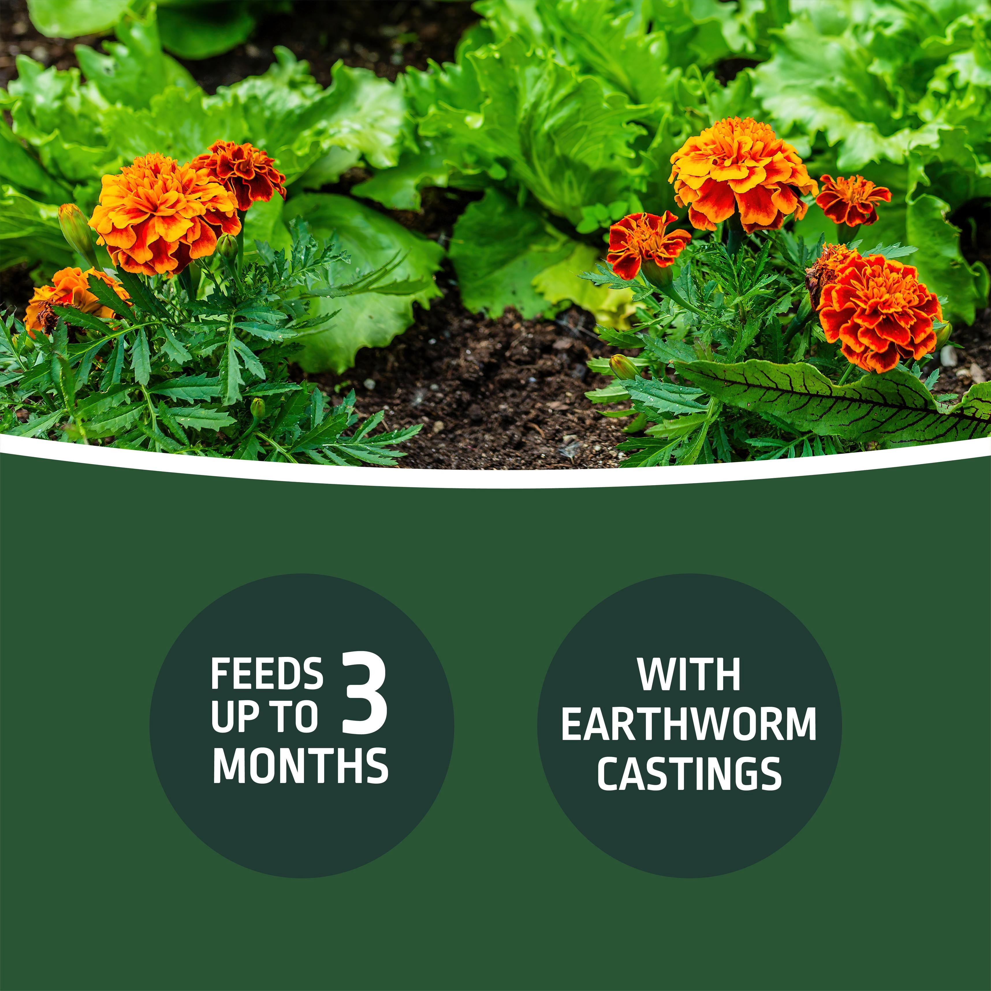 Expert Gardener Organic Garden Soil with Earthworm Castings, Peat-Free, Feeds up to 3 Months, 1.5 cu ft