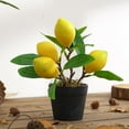 thumbnail image 2 of Bonsái de frutas artificiales para decoración del hogar, jardín, dormitorio, sala de estar, hotel y oficina. Limón S, 2 of 6