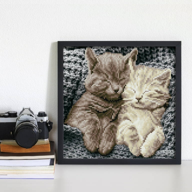 DIAMOND DOTZ® Purr Pair Special Edition Diamond Painting Kit