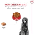 thumbnail image 4 of Royal Canin Nutrition Santé pour Races Nourriture Sèche pour Caniche Adulte, Sac de 4,54 kg, 4 of 5