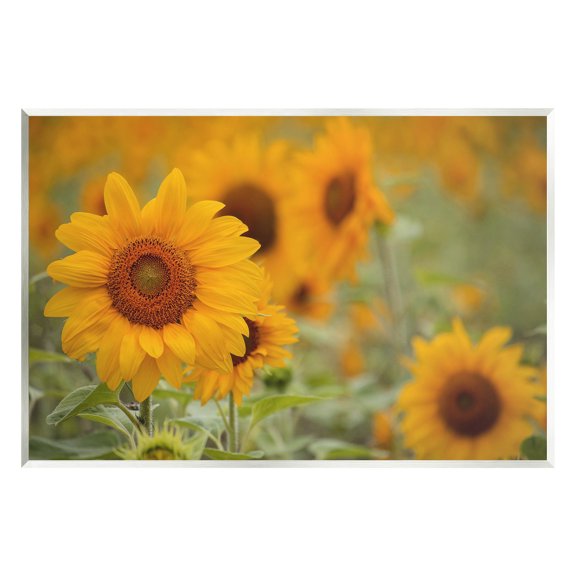 Sunflower Field Nature Blooms Botanical & Floral Photograph Unframed Art Print Wall Art