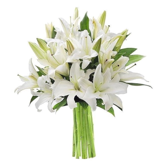 Kabloom Fresh Live Flower Bouquet with 5 White Oriental Lilies