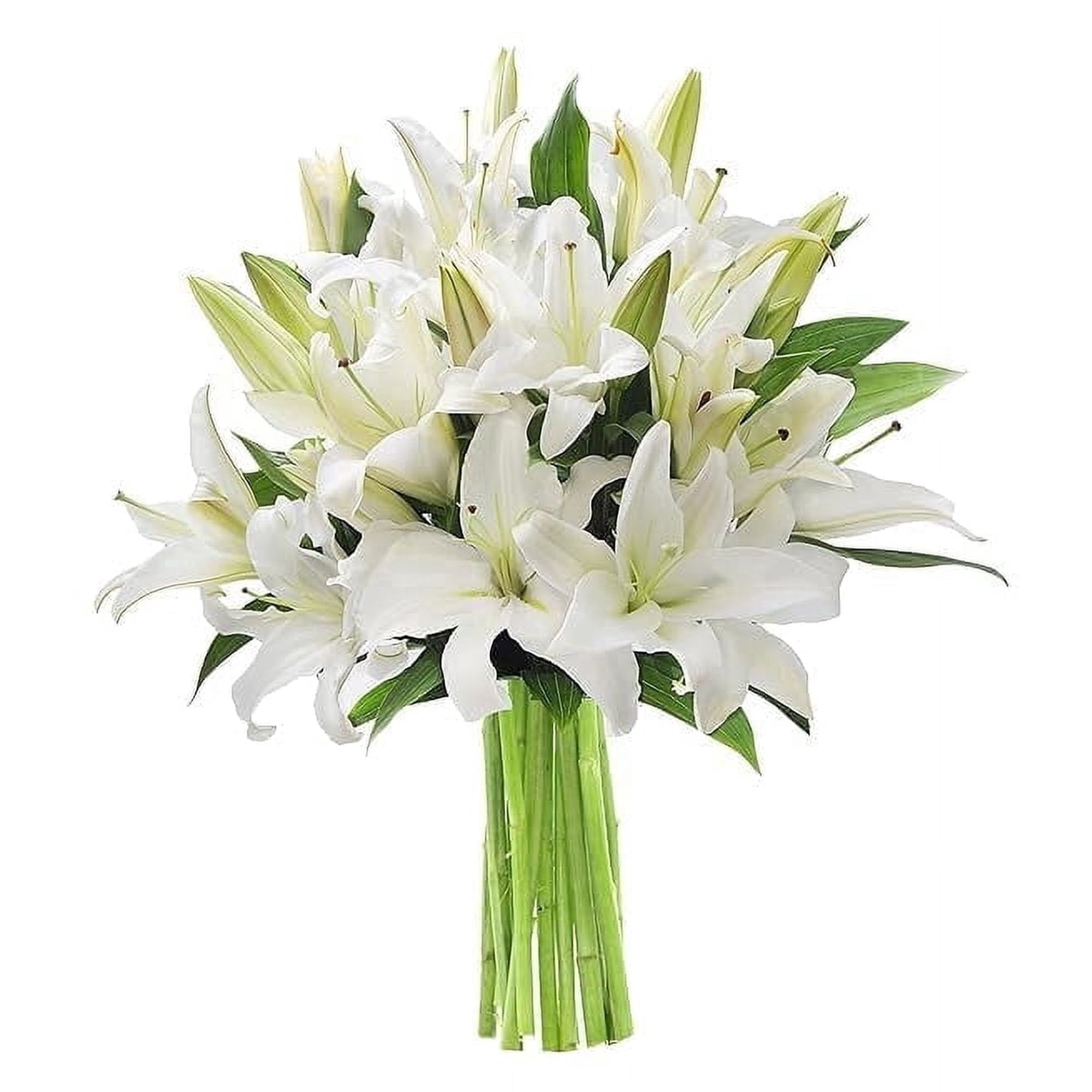 Kabloom Fresh Live Flower Bouquet with 5 White Oriental Lilies