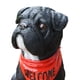 thumbnail image 4 of Figuras de perro adorno de perro artesanías de resina regalos de arte estatua de perro escultura de perro para entrada mesa de café dormitorio , negro, 4 of 5