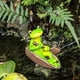 thumbnail image 5 of Jardín de la estatua de la rana - ranas felices de la resina en figuras del banco, decoraciones del verano de la decoración de la rana del jardín, Fo, 5 of 5