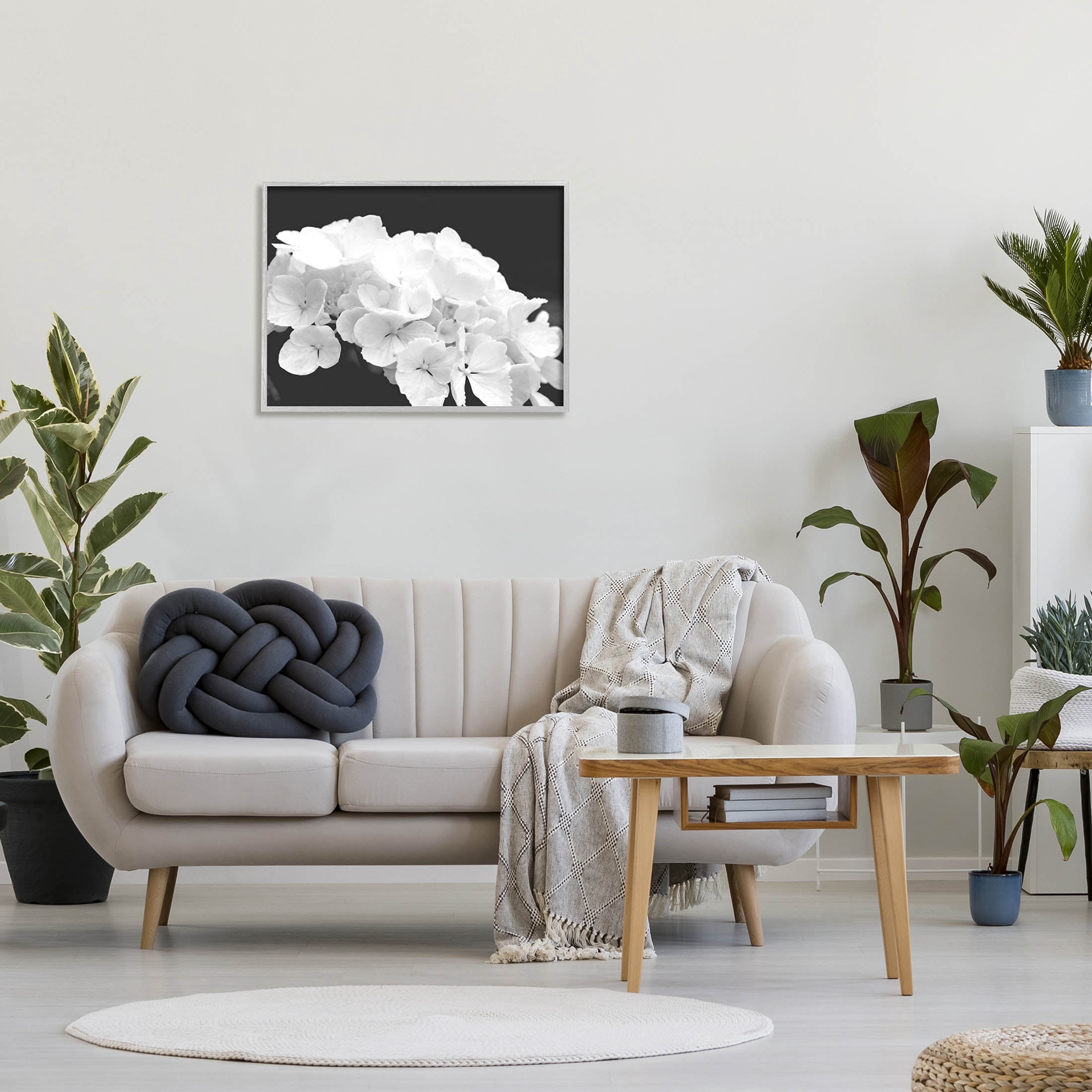 Delicate White Hydrangea Petals Botanical & Floral Photograph Gray Framed Art Print Wall Art