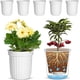 thumbnail image 1 of Elf - Macetero de riego para hierbas, color blanco, juego de 6 maceteros de almacenamiento de agua con riego automático para uso interior y exterior, 1 of 4