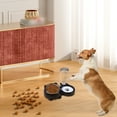 thumbnail image 1 of BKER Bol pour Animaux en Acier Inoxydable, Distributeur d'Eau et d'Aliments pour Chat Amovible, Ensemble de Deux Pièces, Distributeur d'Eau pour Chien, Design Incliné, 1 of 5