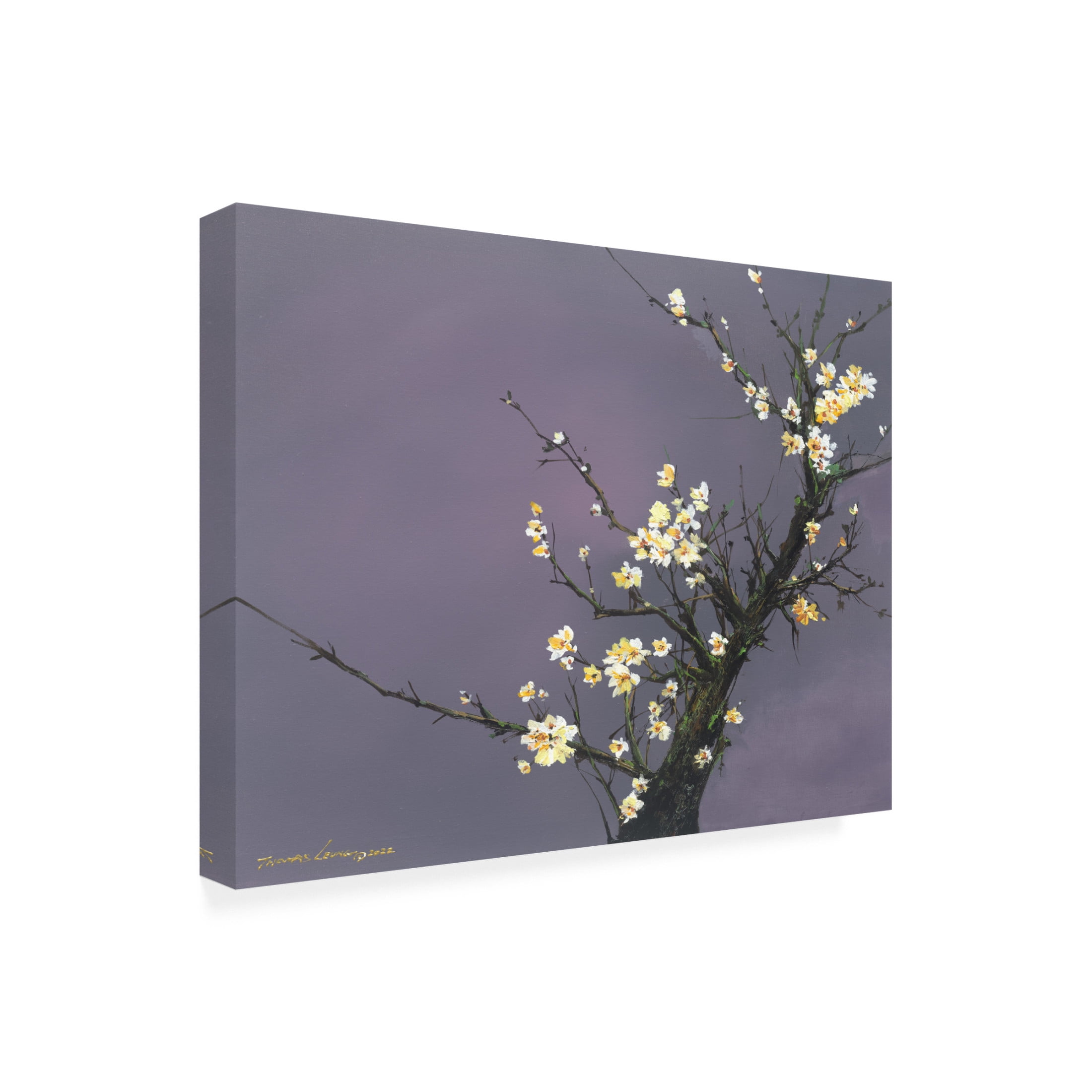 Canvas Wall Art - Thomas Leung 'White Blossom' Wall Art for Living Room, Bedroom, or Office Décor by Trademark Fine Art - 19 x 14 Inches