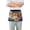 Abstract Art Oil Painting Tiger, variant on Bull Cow with Daisies Server Apron with 3 Pockets Waterproof Waitress Waist Short Apron for Man Woman 12 Inches