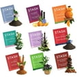thumbnail image 6 of Tea Bags Sampler Assortment Box (Blue Ribbon Box - 52 Count), 6 of 8
