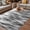 DarkGray, variant on Sage Green Grey Vintage Outdoor Rug for Patio/Deck/Porch, Non-Slip Large Area Rug 5 x 7 Ft, Retro Abstract Art Indoor Outdoor Rugs Washable Area Rugs, Reversible Camping Rug Carpet Runner