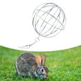 thumbnail image 4 of Gymnture Hanging Sphere Feed Dispenser for Small Pets (2pcs), 4 of 10