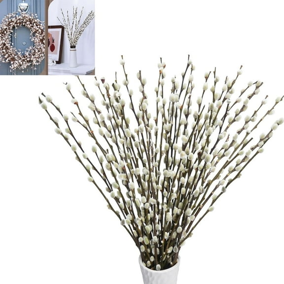 Tutuviw 20 Stems Real Dried PussyWillow Branches for Vase,12in Natural PussyWillows with White Flowers,Dried Flowers Twigs with White Willows,Real Snow Willow Branches for Indoor Outdoor Decor