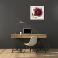thumbnail image 3 of Jensen, Asia 20x20 White Modern Wood Framed Museum Art Print Titled - Crimson Peony I, 3 of 4