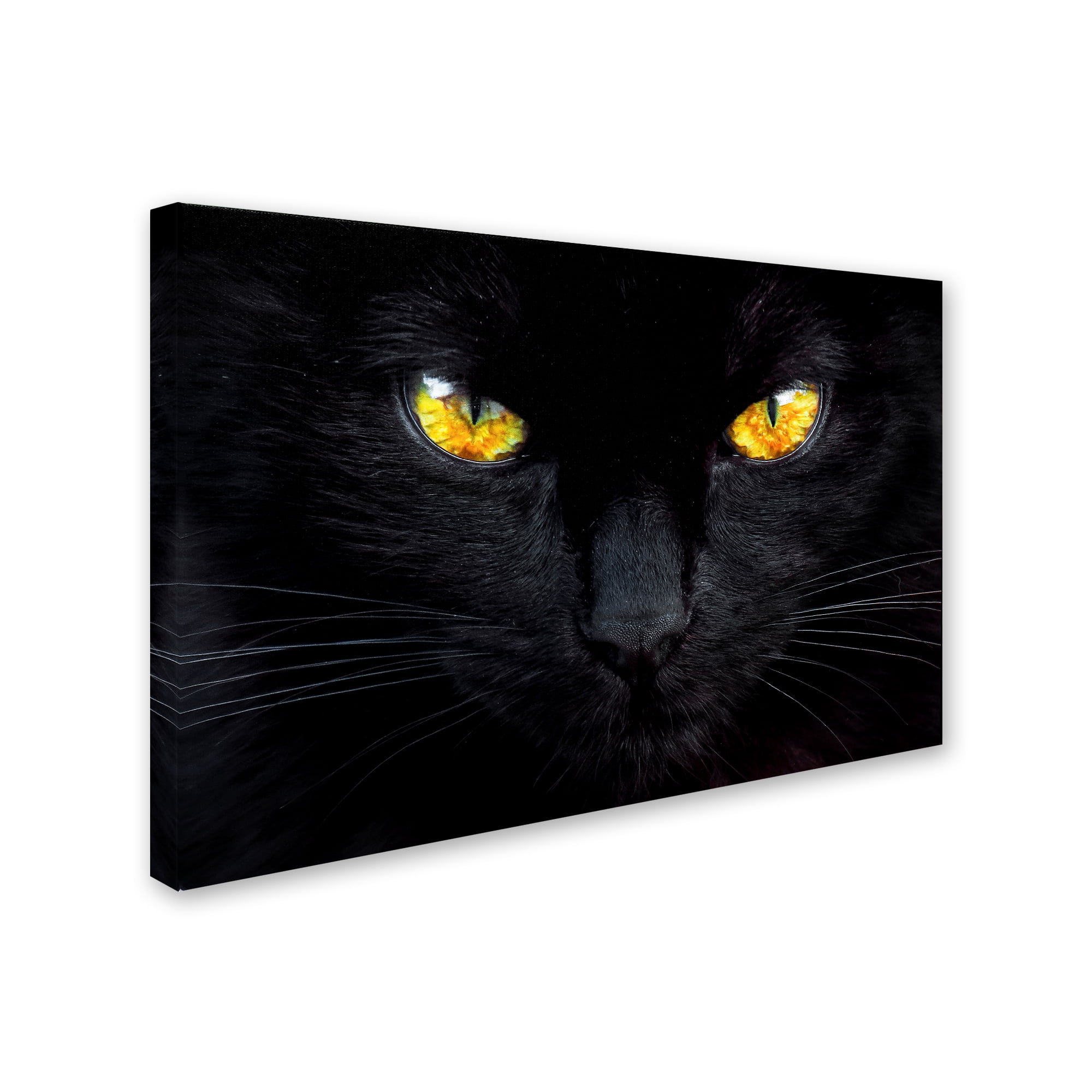 Trademark Fine Art 'The Hypnotist Of The Night' Canvas Art by Ferdinando Valverde