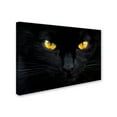 thumbnail image 2 of Trademark Fine Art 'The Hypnotist Of The Night' Canvas Art by Ferdinando Valverde, 2 of 3