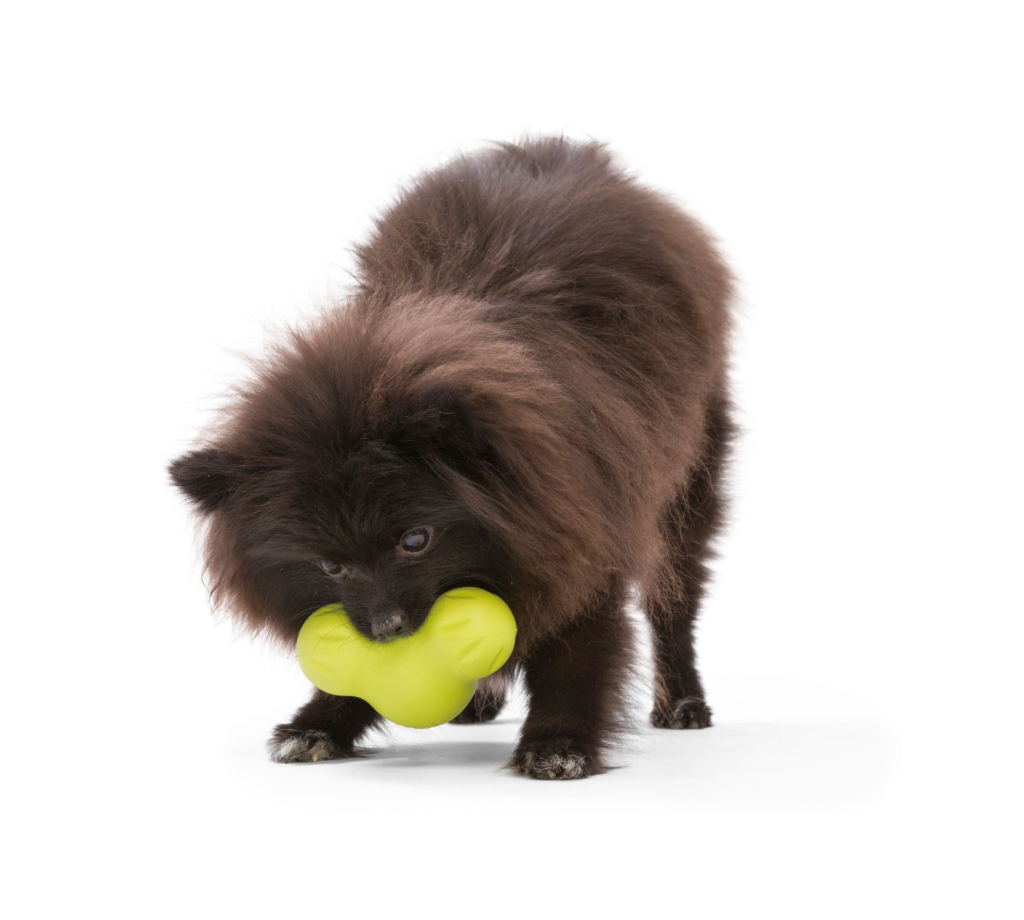 West Paw Zogoflex Tux Large 5" Dog Toy Granny Smith