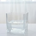 4Pcs Delicate Square Transparent Hydroponic Containers Green Radish