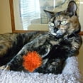 thumbnail image 5 of 30 Uds. Pelota de juguete para gatos, pelota de Color para gatos, pelota de juguete para gatos, pelota de juguete interactiva, 5 of 5