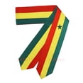 thumbnail image 3 of Exclusive design Comoros Flag Grain 3D Printed Men For Running Bike Soccer Tennis Fitness Sports jersey Mesh Fans Short T-shirt, 3 of 6