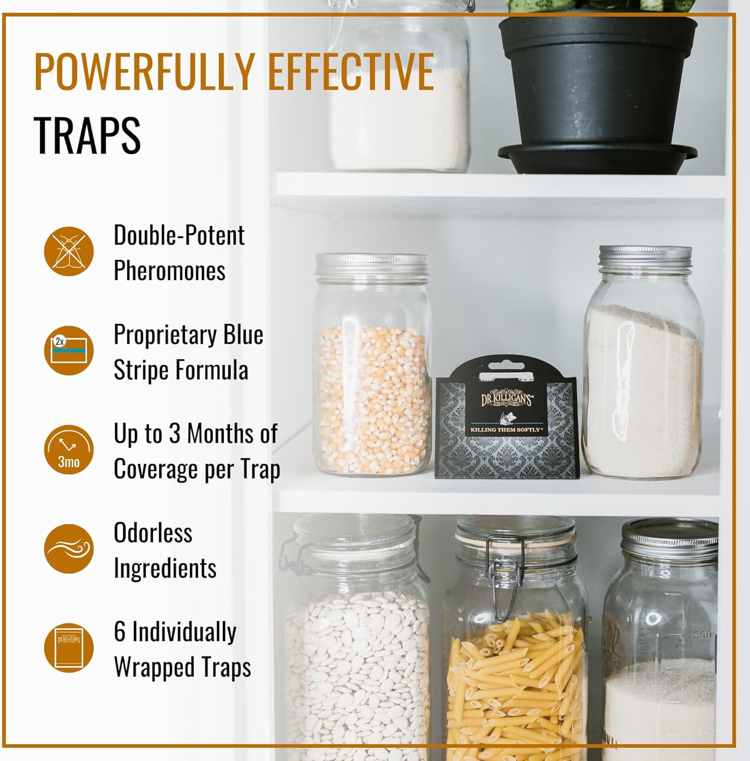 Premium Double Potent Pantry Moth Traps with Pheromones Prime, Sticky Indian Meal Moth Traps for Kitchen, How to Get Rid of Moths in House (6 Pack, Black)