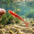thumbnail image 4 of Shrimp Lure, Sinking Soft Plastic Realistic Design Ironclad Style Bionic Weighted Prawn Bait Artificial Tackle of Bass Redfish Saltwater Fishing 4.53 in 10 g 2 Pack, 4 of 4